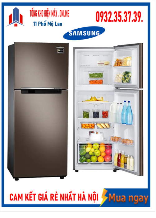 Tủ lạnh Samsung inverter 243 lít RT22M4040DX/SV